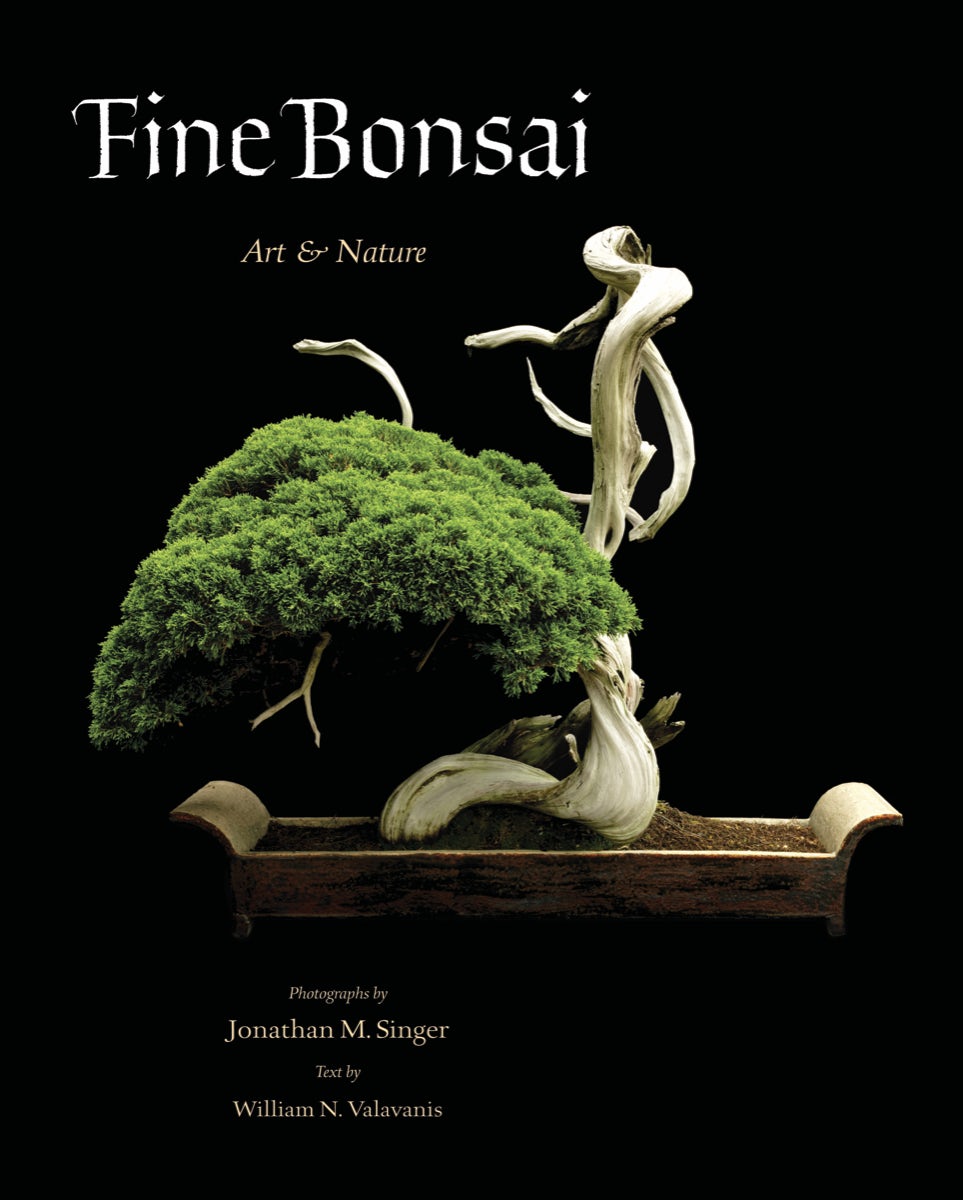 Fine Bonsai - Deluxe Edition – Abbeville