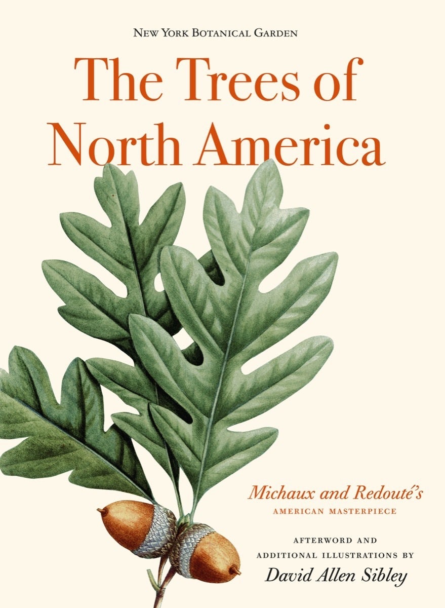 The Trees of North America – Abbeville
