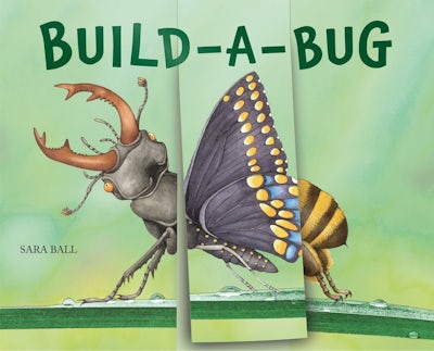 Build-a-Bug – Abbeville