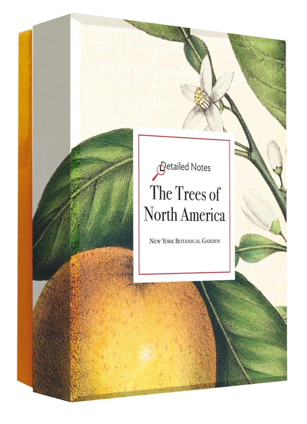 Set standard di 52 carte da gioco jolly North American Trees - Italia Set standard di 52 carte da gioco jolly North American Trees - Italia