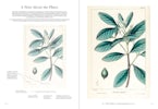 The Trees of North America